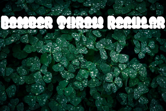 Bomber Throw Regular Example 3