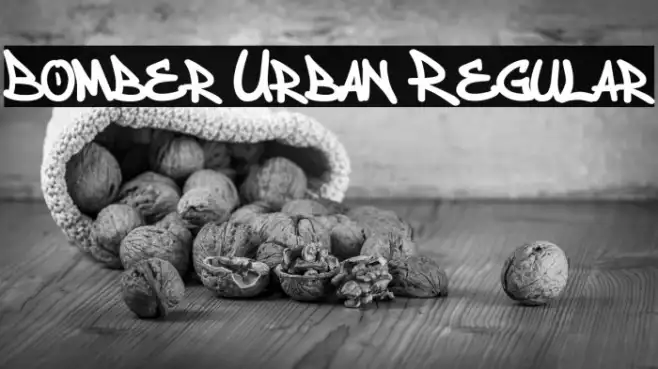 Bomber Urban Regular Example 1