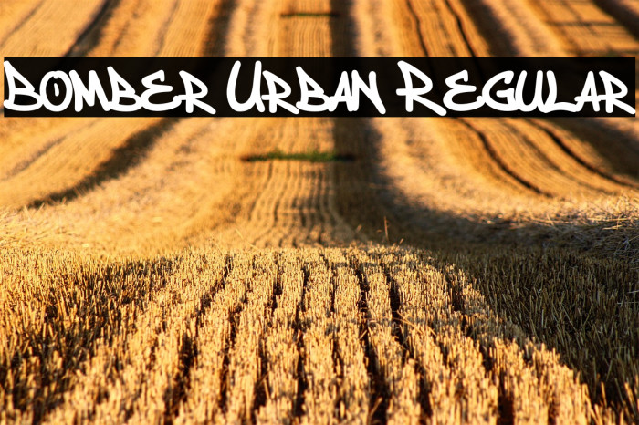 Bomber Urban Regular Example 2