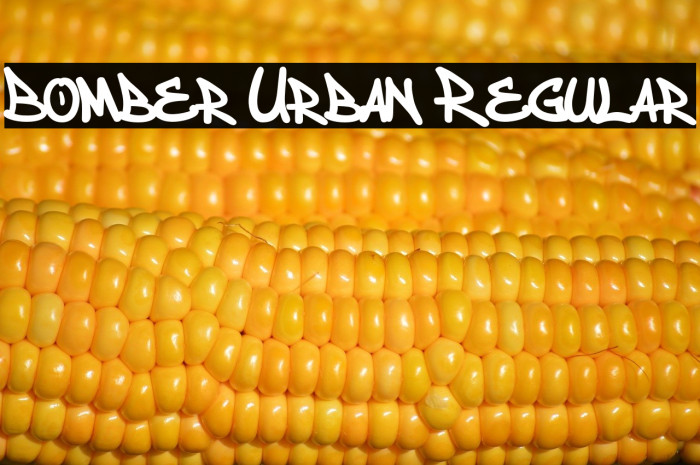 Bomber Urban Regular Example 3