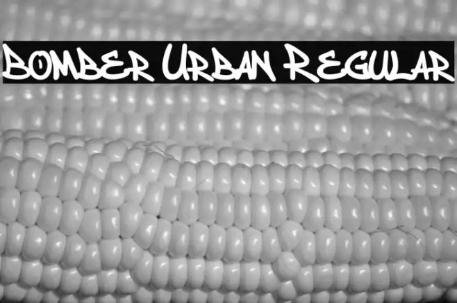 Bomber Urban Regular Example 3