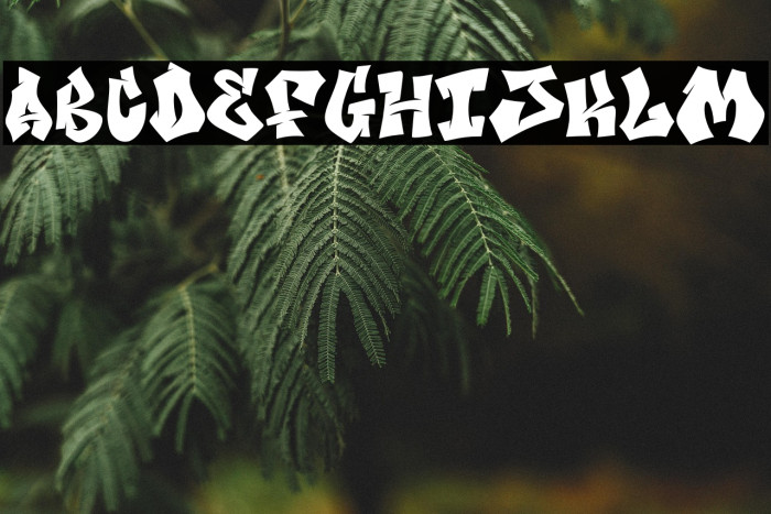 Bomber Wall Regular Fill Demo Example 1