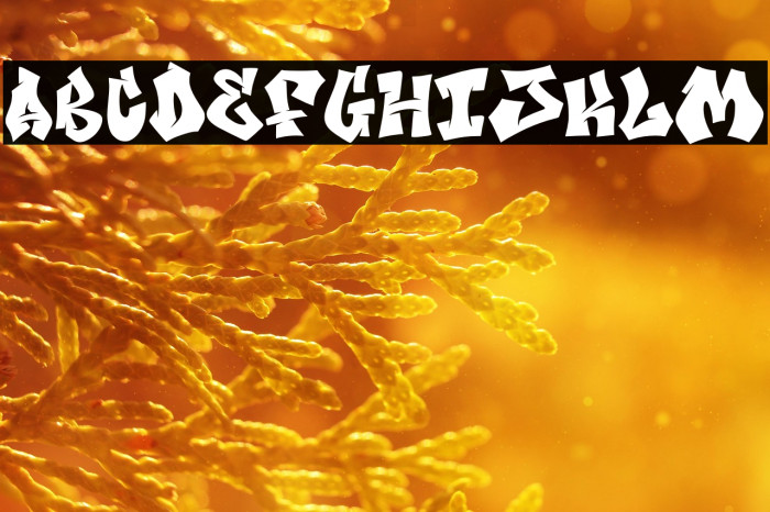 Bomber Wall Regular Fill Demo Example 2