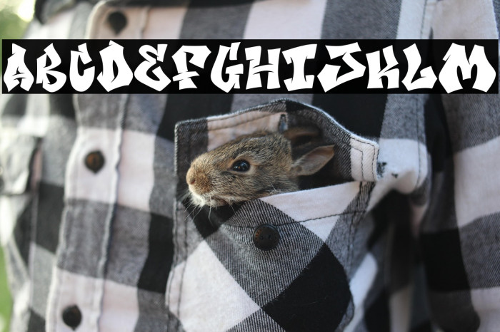 Bomber Wall Regular Fill Demo Example 3