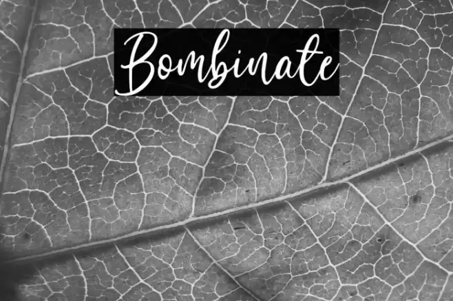 Bombinate Font examples