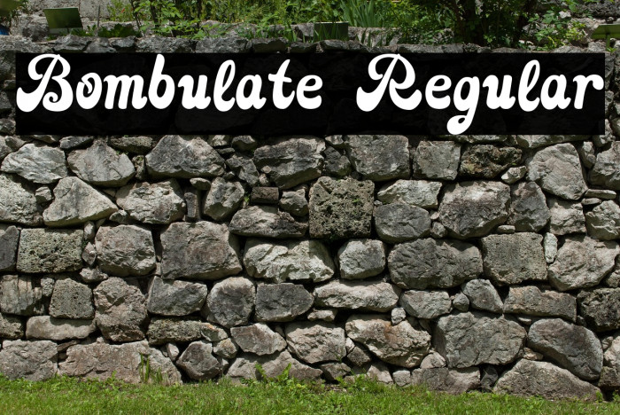 Bombulate Regular Example 3