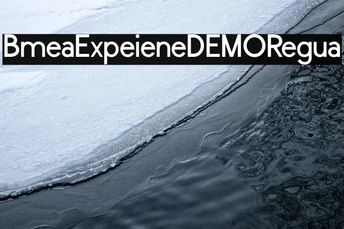 Bomera Experience DEMO Regular Example 1
