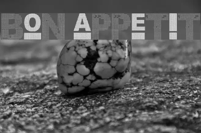 Bon Appetit Font examples