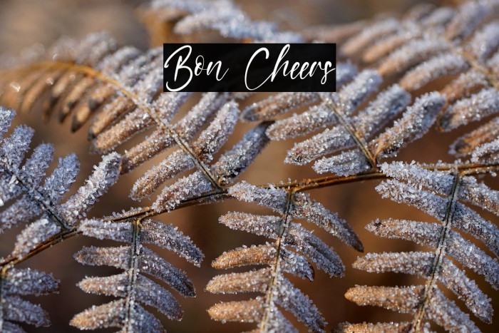 Bon Cheers Example 2