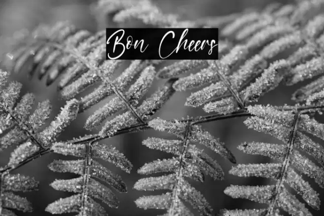 Bon Cheers Fonte examples