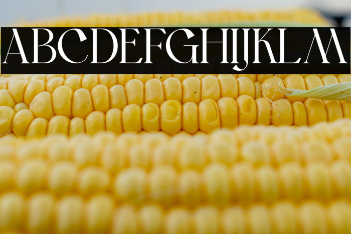 BonFoyage DEMO Example 2