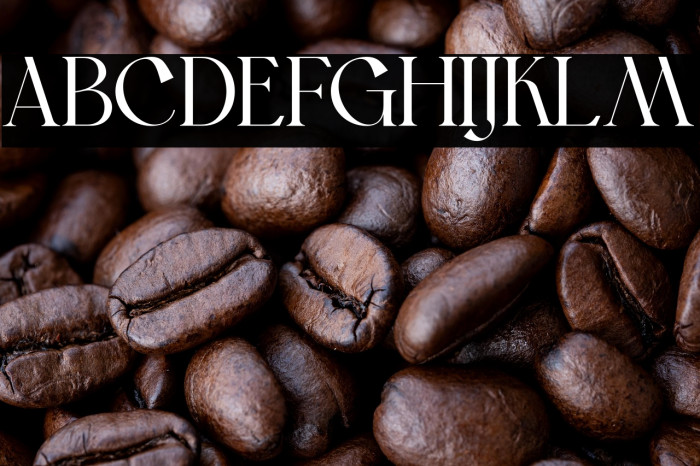 BonFoyage DEMO Example 3