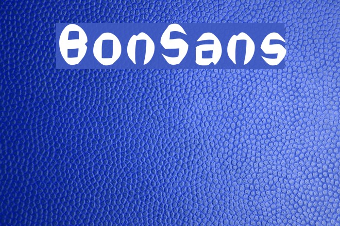 BonSans Example 2
