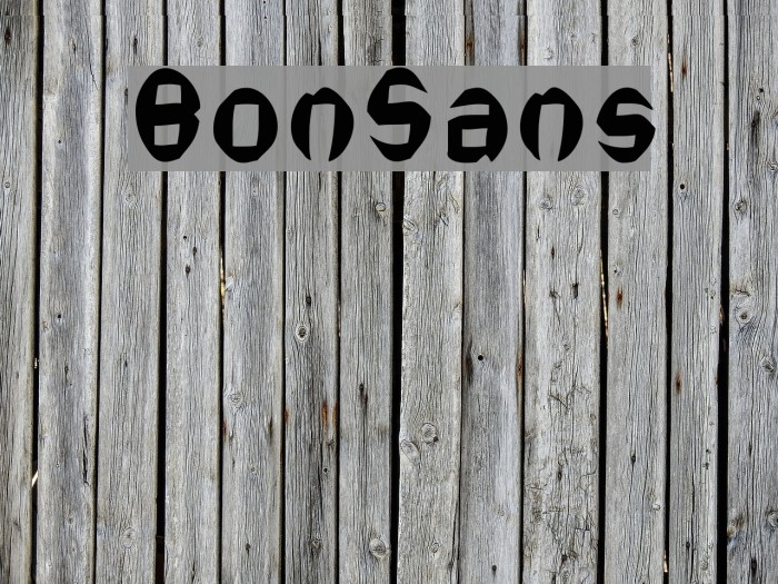 BonSans Example 3