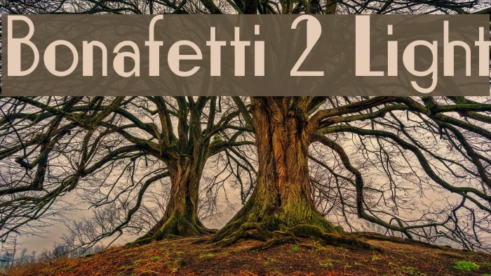 Bonafetti 2 Light Font examples