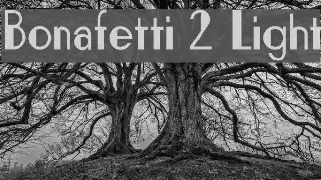 Bonafetti 2 Light Example 1