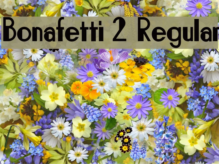 Bonafetti 2 Regular Font examples