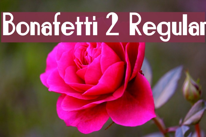 Bonafetti 2 Regular Font examples