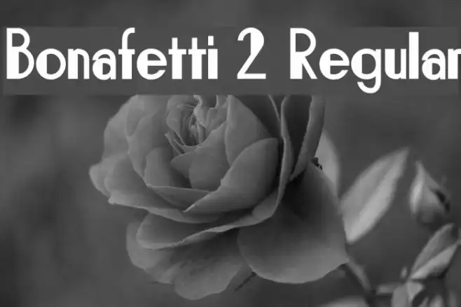Bonafetti 2 Regular Example 3