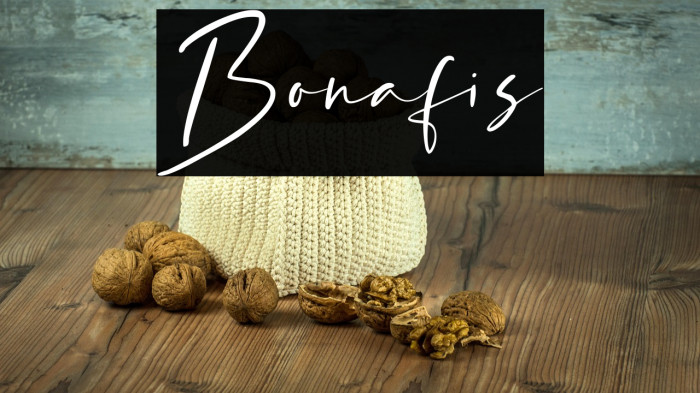 Bonafis Example 1