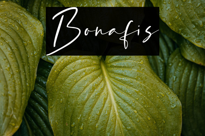 Bonafis Example 2