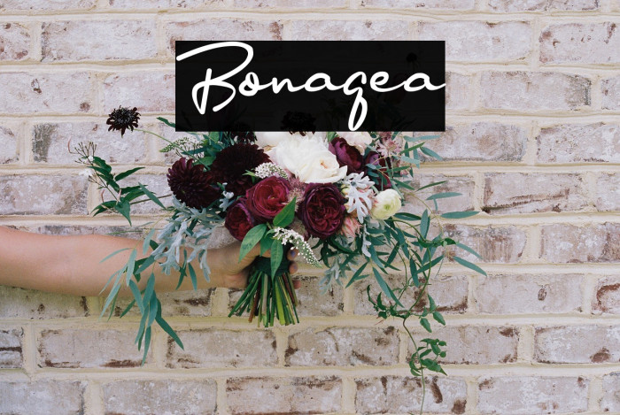 Bonagea Example 1