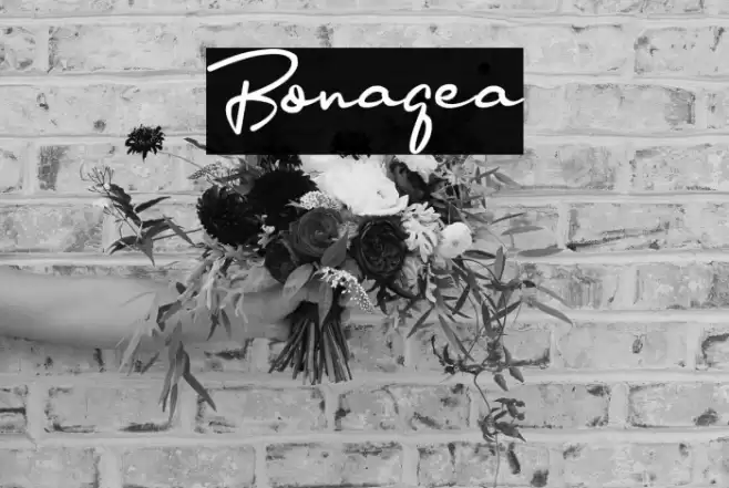 Bonagea Font examples
