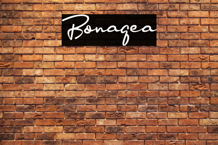 Bonagea Example 2