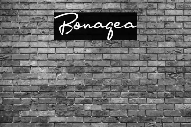 Bonagea Font examples