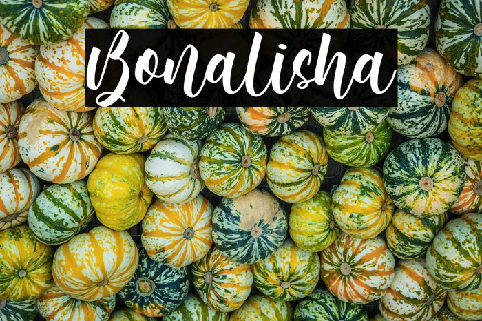 Bonalisha Example 3