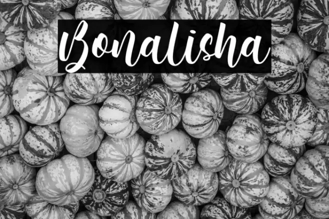 Bonalisha Font examples