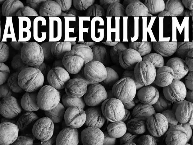 Bonard Regular Font examples