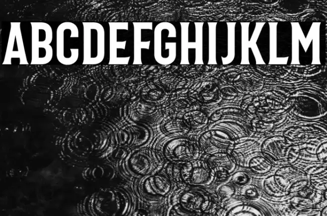 Bonard Regular Font examples