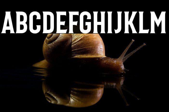 Bonard Regular Example 3