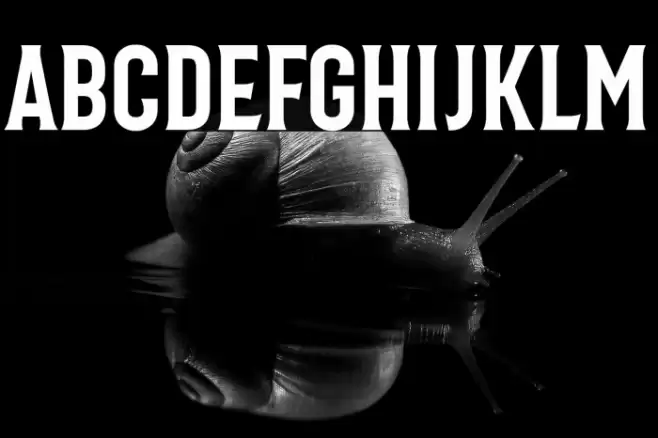 Bonard Regular Font examples