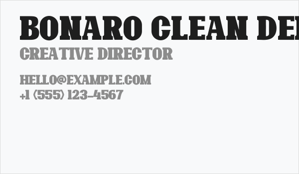Bonaro Clean Demo Clean Business Card