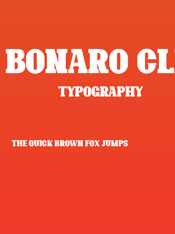 Bonaro Clean Demo Clean Poster