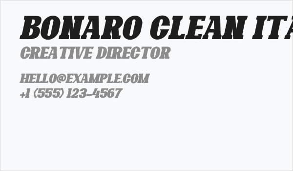 Bonaro Clean Italic Demo Clean Italic Business Card