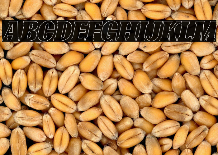 Bonaro Outline Italic Demo Outline Italic Example 3