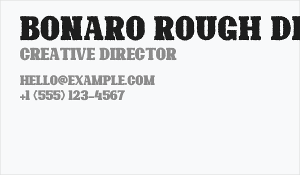 Bonaro Rough Demo Rough Business Card