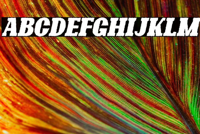 Bonaro Rough Italic Demo Rough Italic Example 1