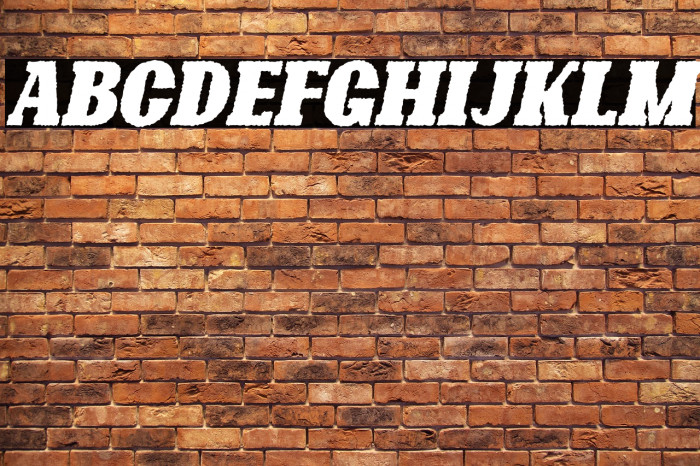 Bonaro Rough Italic Demo Rough Italic Example 2