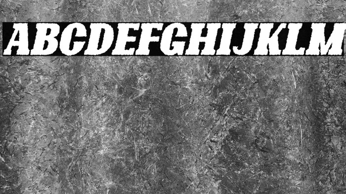 Bonaro Rough Italic Demo Rough Italic Example 3