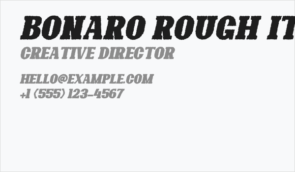 Bonaro Rough Italic Demo Rough Italic Business Card