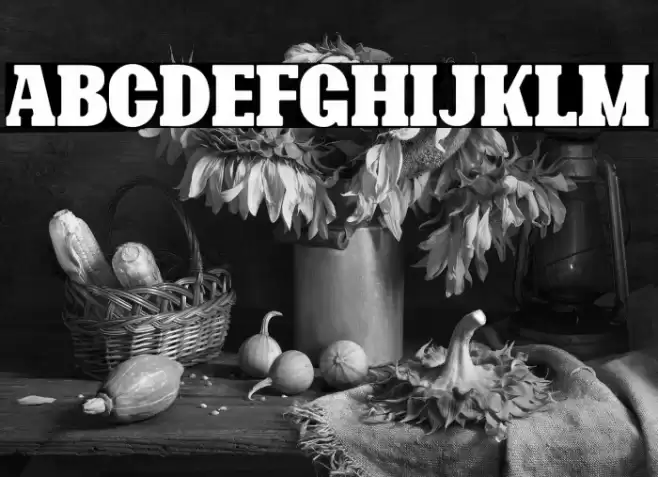 Bonaro Rounded Demo Rounded Font examples