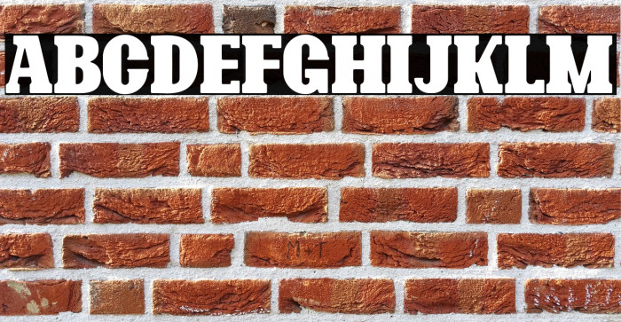 Bonaro Rounded Demo Rounded Example 2