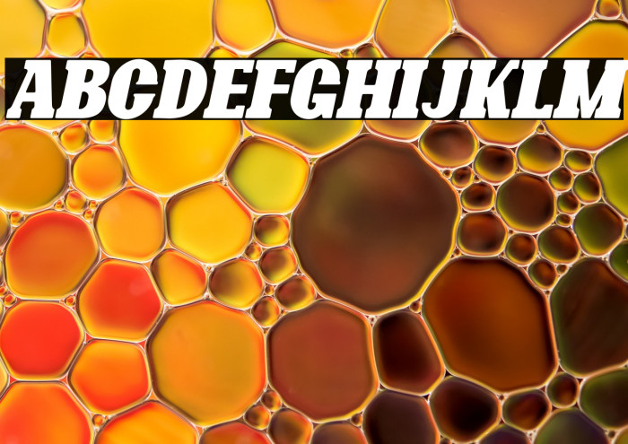 Bonaro Rounded Italic Demo Rounded Italic Example 1