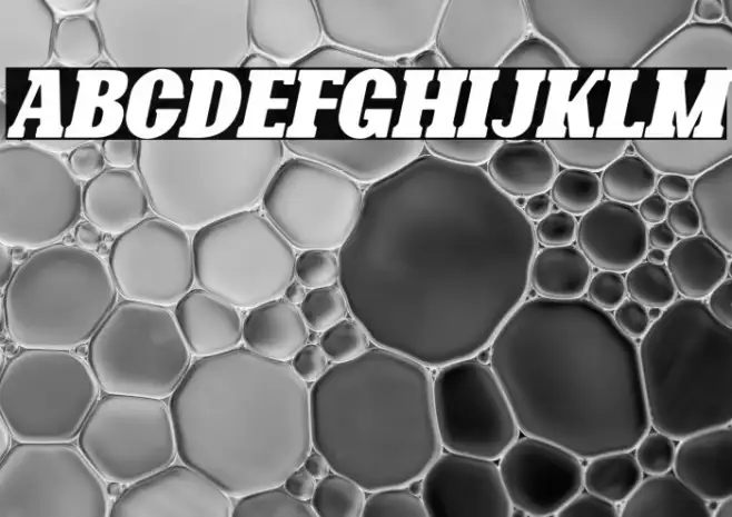 Bonaro Rounded Italic Demo Rounded Italic Example 1