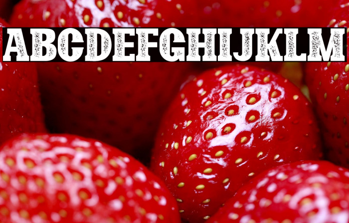 Bonaro Stamp Demo Stamp Example 2