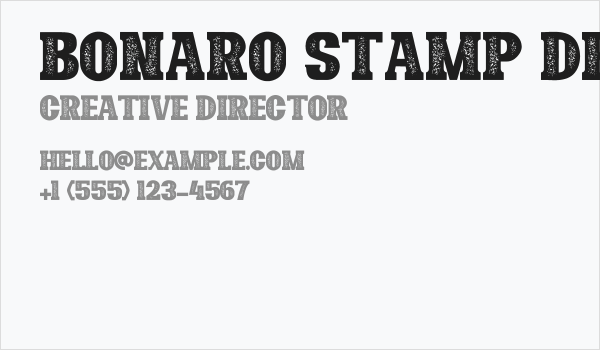Bonaro Stamp Demo Stamp Business Card
